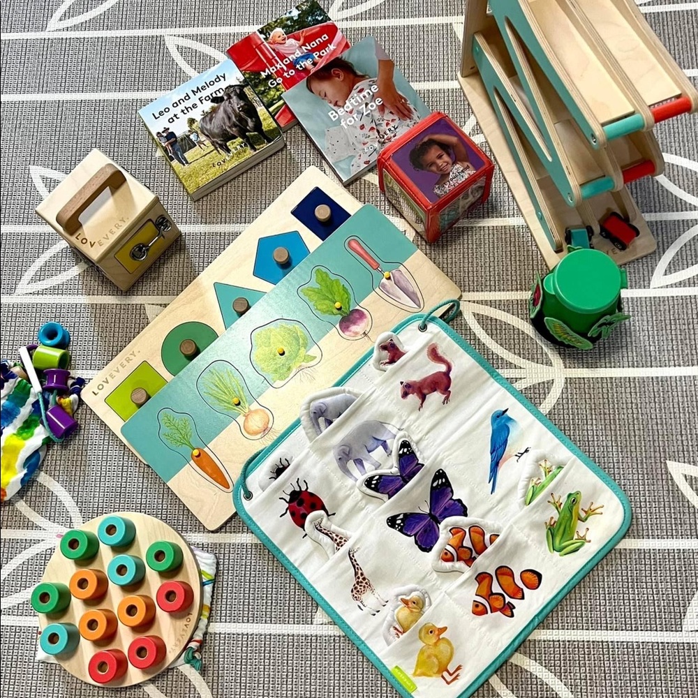 Lovevery toys in EUC